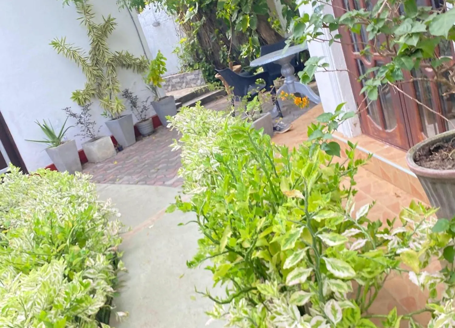 Villa Stay Fun Negombo Šrí Lanka